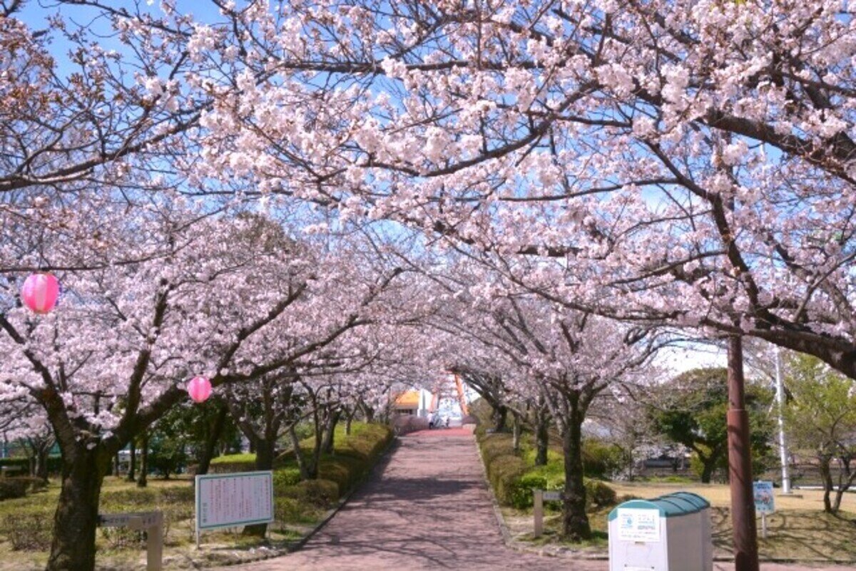 🌳 효고 현립 아카시 공원 (효고켄리츠 아카시 코엔) 이미지 5